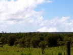 100_0126.JPG